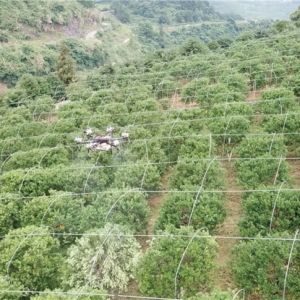 最強(qiáng)植保神器！常鋒無(wú)人機(jī)攜碾壓級(jí)優(yōu)勢(shì)殺入果樹飛防