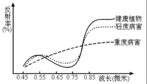 【Yusense Map+】典型應(yīng)用1：基于多光譜遙感的常用植被指數(shù)計算 ...