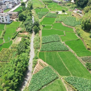 福建連城莒溪鎮— 無人機巡河護河治理