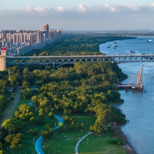 江好遇見 光影泰山｜終于來了！無人機表演秀來啦！